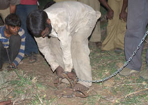 Demonstrating how to use a jaw trap