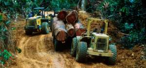 Wildlife habitat is being devastated