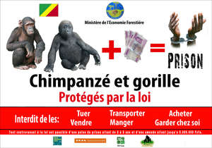 Tchimpounga Billboard in Congo