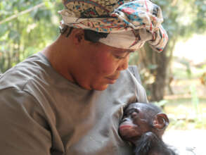 Lubutu and surrogate mother C'Arrive.