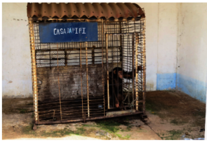 Fifi in cage before rescue