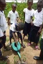 CSWCT tree planting