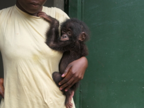 Your support helps orphans like Tshela.
