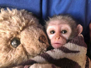 KK holds onto her stuffed bear for comfort.