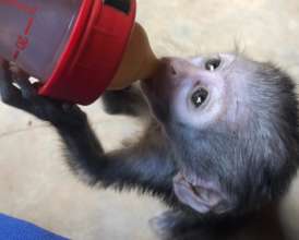 Your gift will give KK a new life.