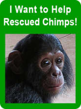 I want to help rescue chimps!