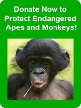 Please give at http://www.pasaprimates.org/donate