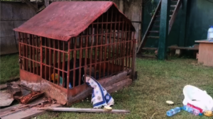 Jenny suffered alone in this cage.