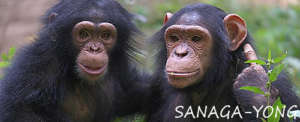 Kanoa and Anita - best friends