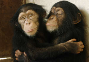 Oumou and Nana were rescued from traffickers.