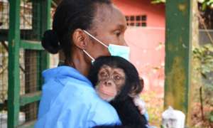 Dedicated care by staff of a PASA member sanctuary