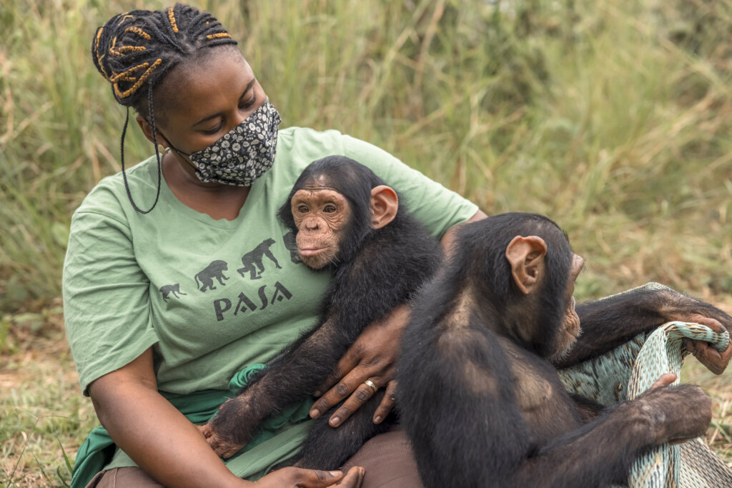 Rescued orphans