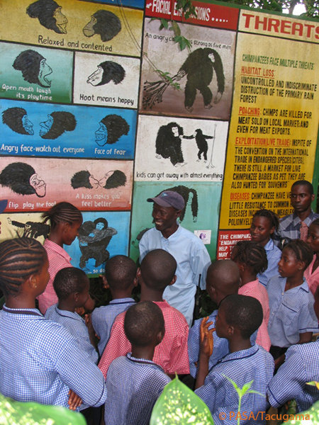 Rescue Orphaned Primates