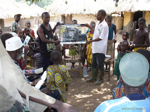 Rescue Orphaned Primates