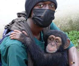 Doura's caregiver keeps him warm and safe