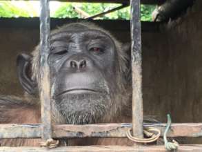 Rikita will soon be saved, thanks to you