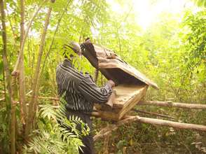Hives for keeping trees safe