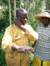 Bees are good friends to live with
