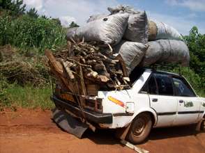 Beekeeping More Profitable than charcoal selling