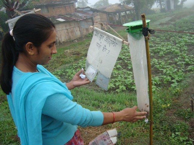Organic Agriculture for Rural Development
