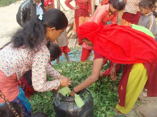 Organic Agriculture for Rural Development