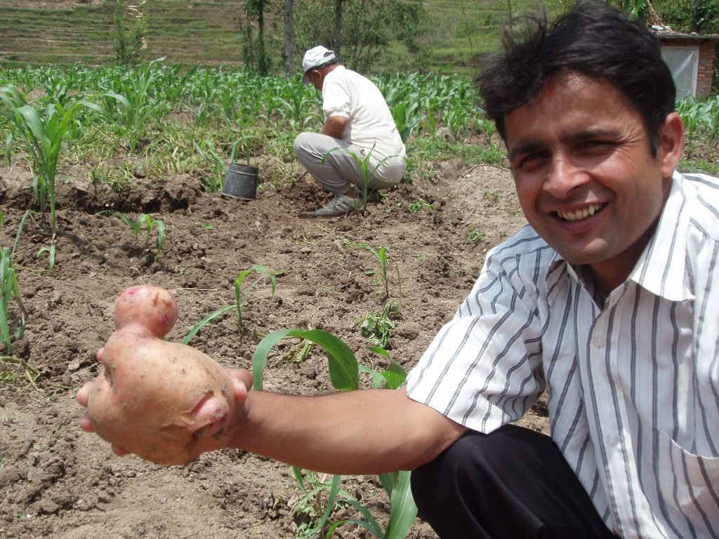 Organic Agriculture for Rural Development