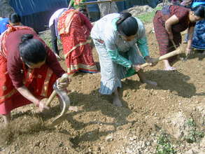 Field Activites