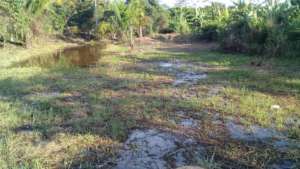 Clearing land for the Piscigranja