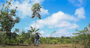 Marco, our Permaculture Director on the field