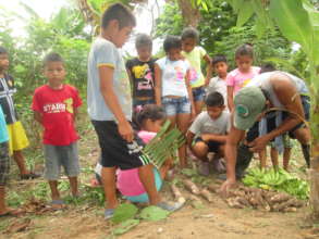 Harvesting yuca and bananas