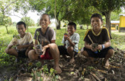 Sponsor Shipibo Youth Permaculture Training