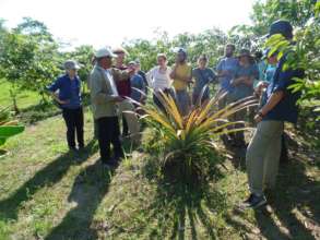 visit of WTBD to fruit forest