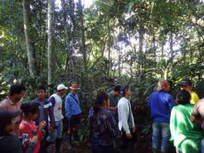 Walking in the National Park