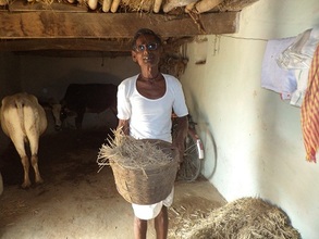 Khudiram ready to feed his cows