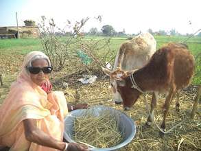 Jawsa after regaining her eyesight