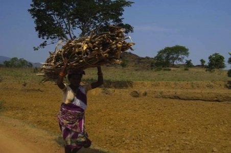 Solar Light & Rural Entrepreneurship for India