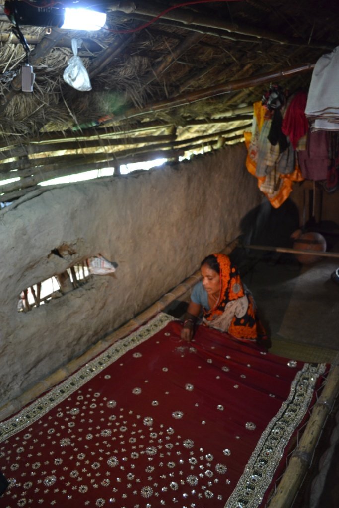 Solar Light & Rural Entrepreneurship for India