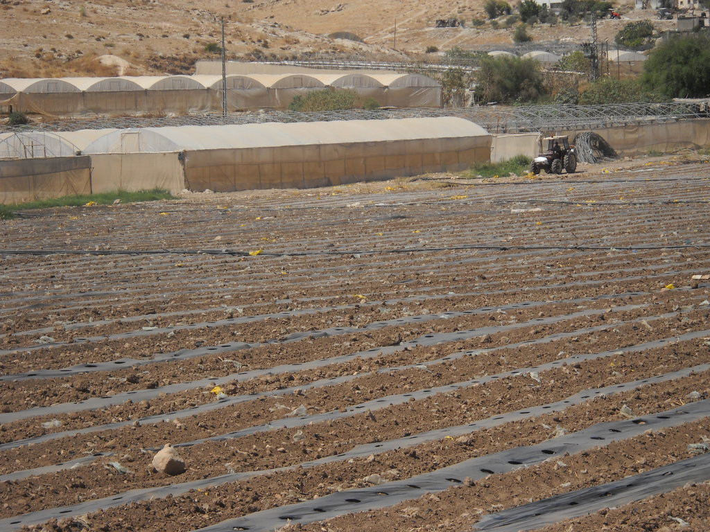 Help Palestinian Farmers Grow & Export Their Crops