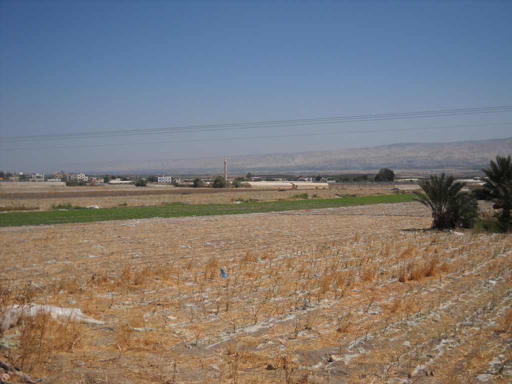 Help Palestinian Farmers Grow & Export Their Crops