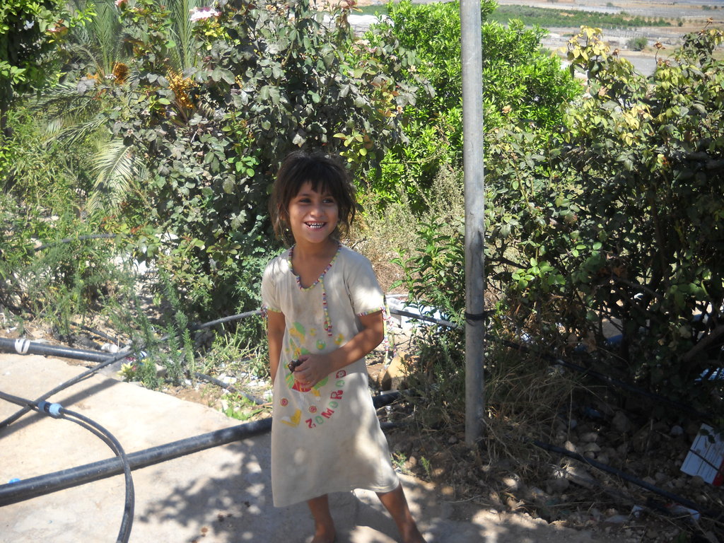 Help Palestinian Farmers Grow & Export Their Crops