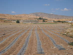 Kardalah Village
