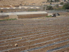 Kardalah Village