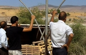 Help Palestinian Farmers Grow & Export Their Crops