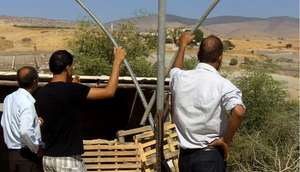 Help Palestinian Farmers Grow & Export Their Crops