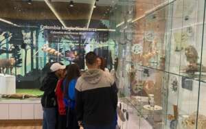 They met small fossils, turtles and snakes.