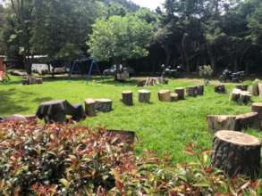 Transforming broken trees into eco friendly seats!