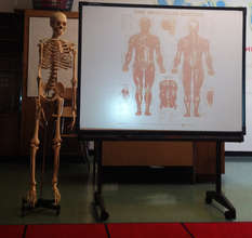 Mr. Bones helped students with their music lesson