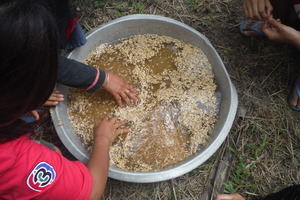 prepare the seeds with sow