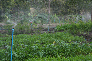 The new irrigation system in action
