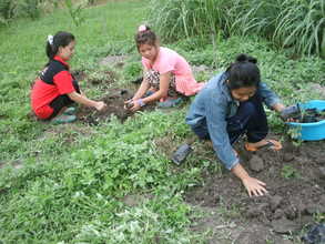 The children helped to plant vegetables